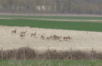 Retour rando Annezay du 24 février 2019