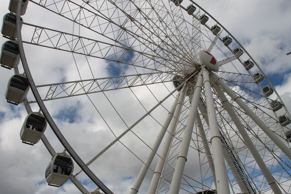 A la découverte de Brisbane 2