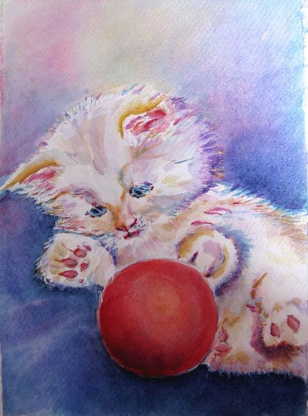 Aquarelle : Le chaton à la boule rouge