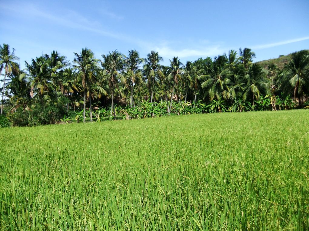 Album - VIETNAM