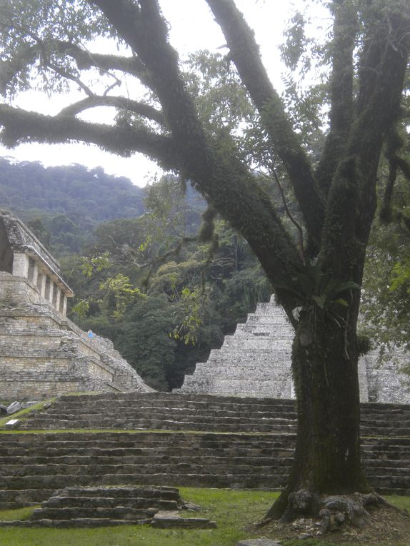 Yucatan, Campeche, Chiapas