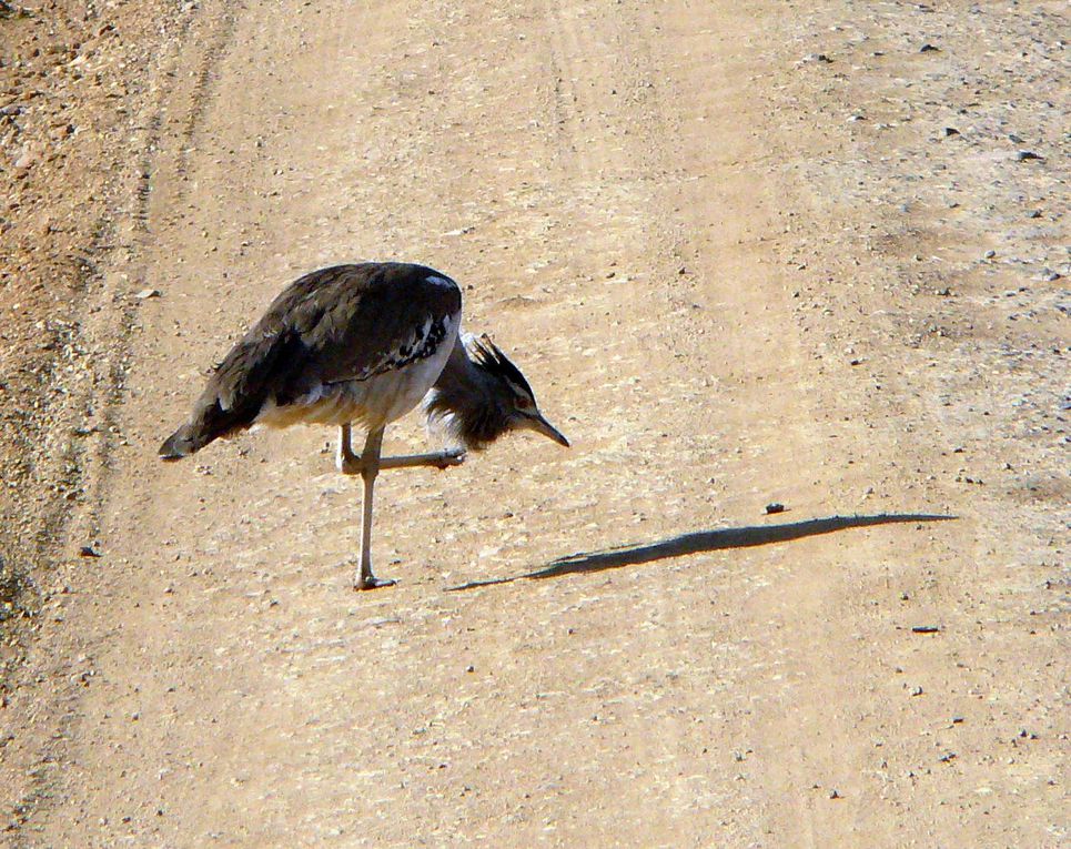 Album - Tanzanie-2007