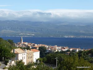 Les îles de CRES-LOSINJ et de KRK