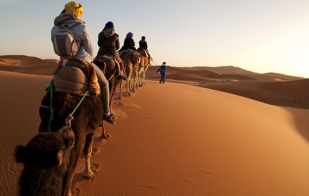 Excursion Marrakech