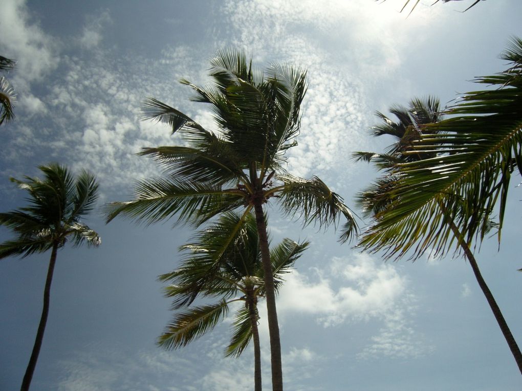 Séjour à PUNTA CANA (République Dominicaine) en Juin 2009