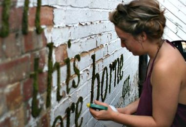 L'ART POUSSE SUR LES MURS