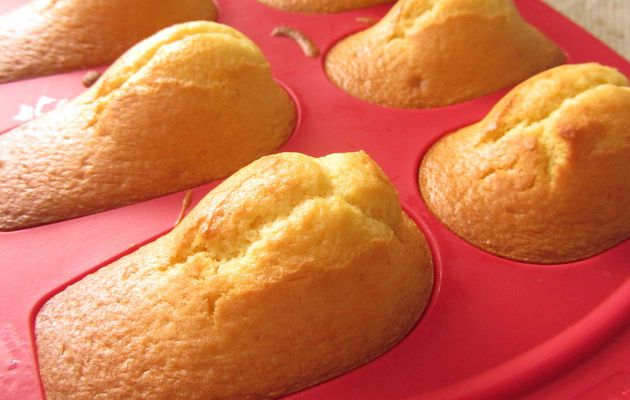 Madeleines à la fleur d'oranger