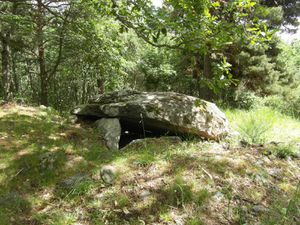 Dolmen de la Pineyre