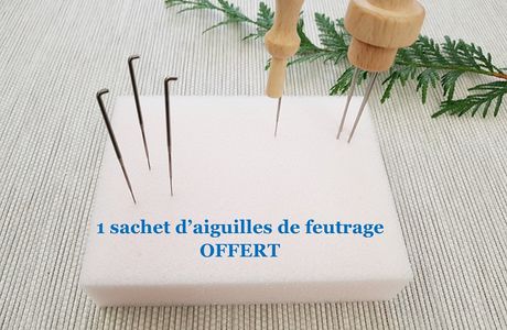 1 Sachet d'aiguilles de feutrage OFFERT