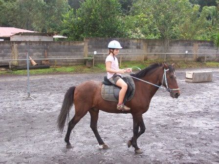 Quoi de plus sympa que de découvrir le plateau de Taravao et les environs à cheval ?!