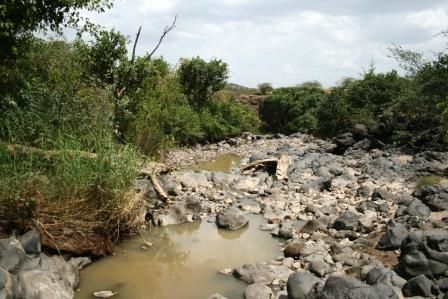 Awash National Park, Rift Valley, East Ethiopia. Fauna and Flora around the park and the Awash river.