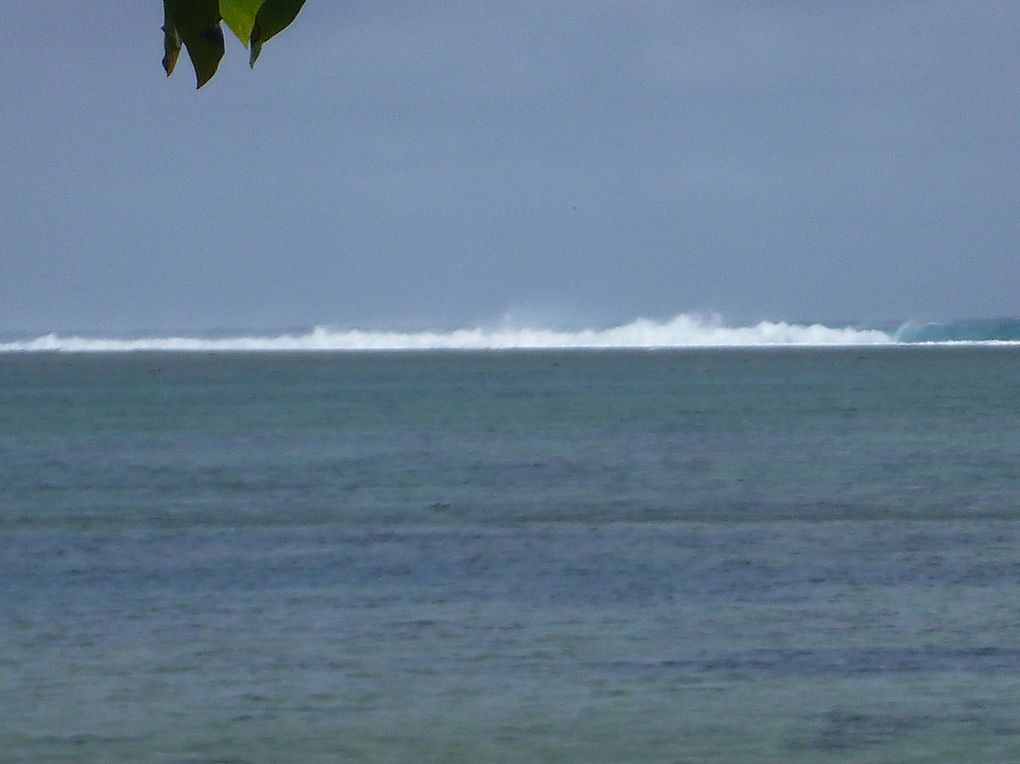 Le train sucrier de la côte de corail