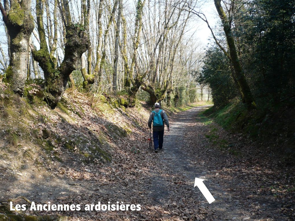 Le parcours de la Ronde des Alpes Mancelles en images