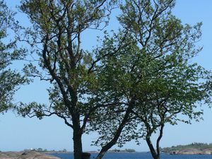 Les îles d'Aland et retour en France