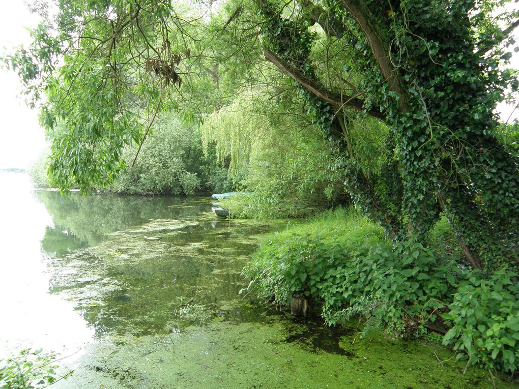 mers du nord ecluses etangs paysages