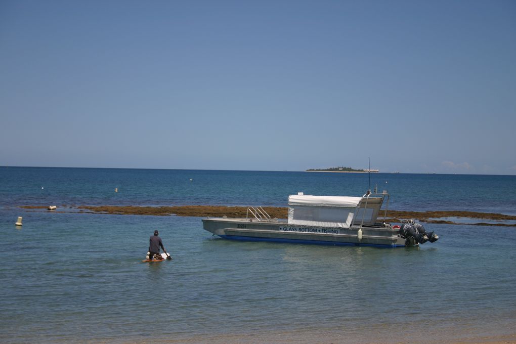 Album - Ile-aux-canards