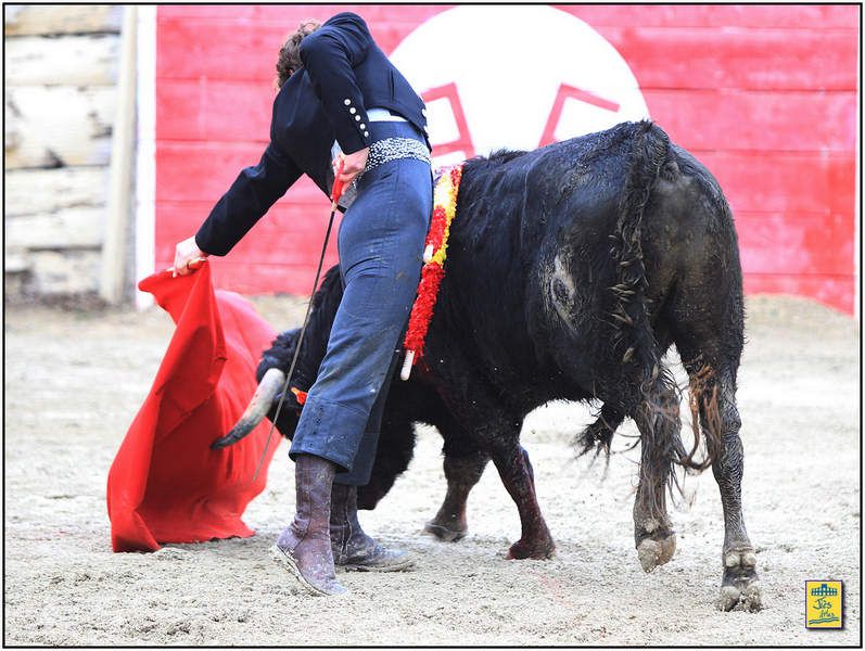 DIAPORAMA DE LA FAENA DE FERNANDO REY