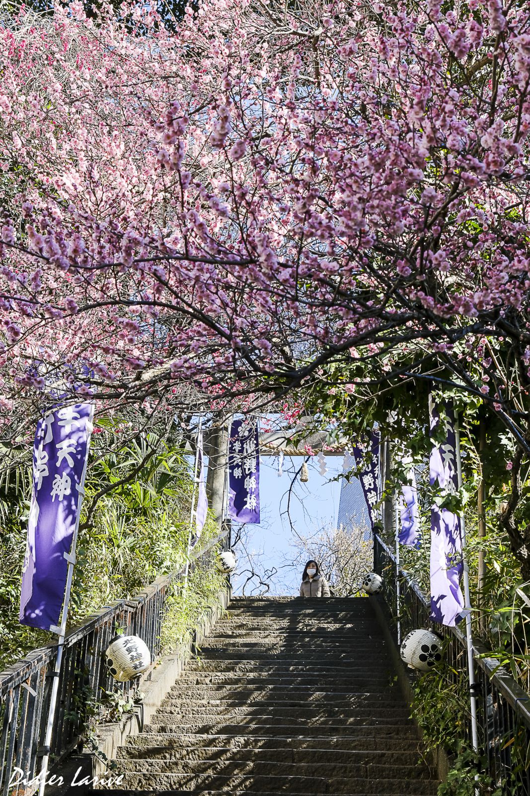 牛天神北野神社 USHI-TENJIN-KITANO-JINJA