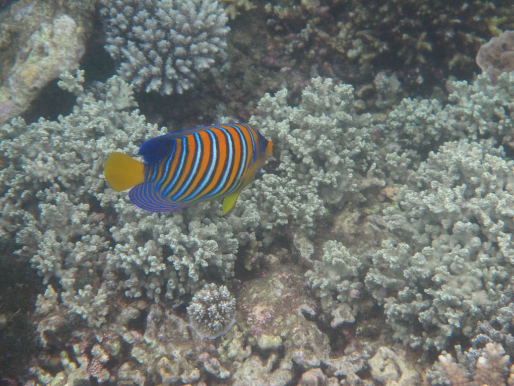 Album - dernier-jour-a-mayotte-maud