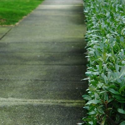 Comment entourer son jardin d'une clôture ?