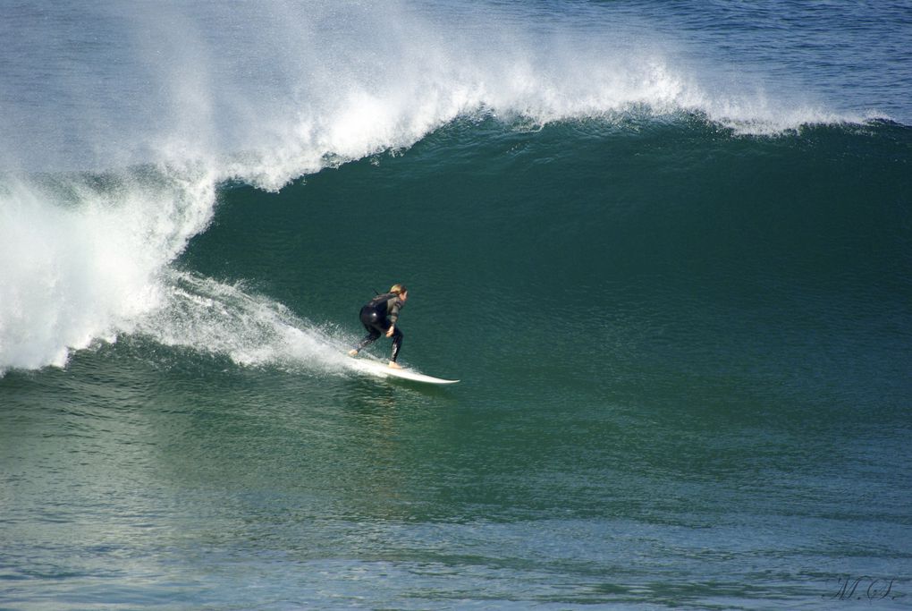 Album - Surf--bodyboard