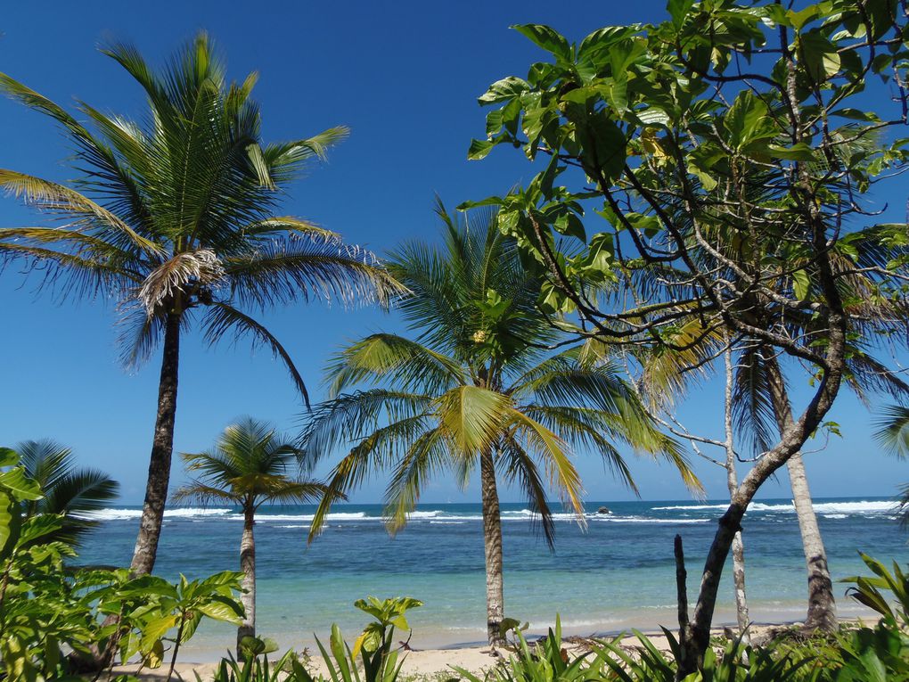 Panama city / San Blas / Isla Bastimentos