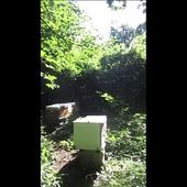septembre 2021 dans le jardin