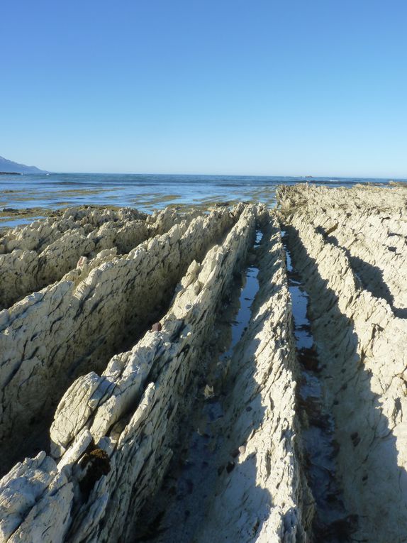 Album - Kaikoura