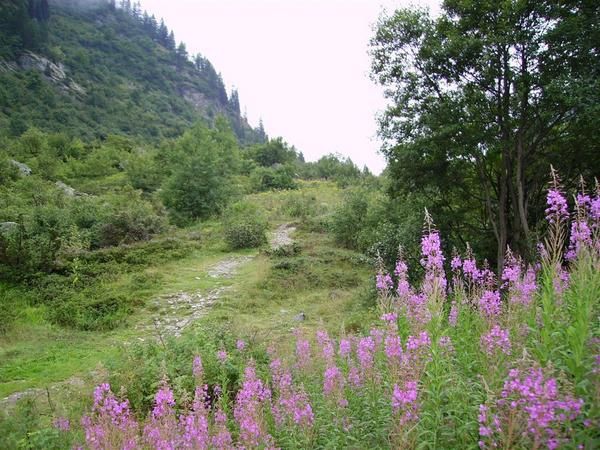 Les plus belles photos de ma semaine VTT en Haute-Savoie avec l'Ucpa en août 2008.
Voir aussi l'article correspondant...