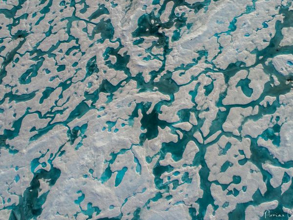 La valse des températures continue au Groenland aprés un printemps des pus froids de ces trente dernières années,  les mois de juillet et aout ont connu des températures trés élevées . la toundra du fjord SAPUTIT à proximité de SAQAQ s'est même embrasée 