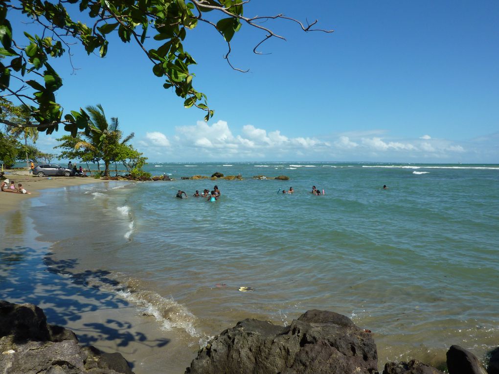 Séjour en Guadeloupe du 06 au 16/12/2009