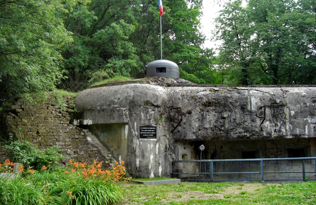 Champagne pour le premier fascicule La Ligne Maginot entre Moselle et Sarre