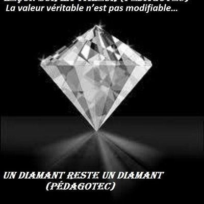 Leçon sur la valeur...