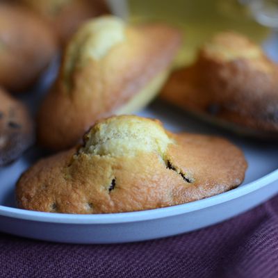 Madeleines aux pépites  de chocolat