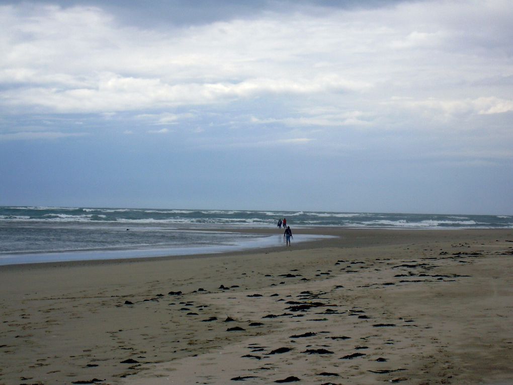 ILE D'OLERON 
ST TROJAN LA BALNEAIRE, LA BAIE DE GATSEAU, LE GRAND VILLAGE PLAGE ET SON PORT DES SALINES, ST PIERRE AVEC SES RUELLES PIETONNES ET SON PORT DE PECHE DE LA COTINIERE, LE PERTHUIS MAUMUSSON, LE PETIT TRAIN DE ST TROJAN, LE FORT BOYARD E