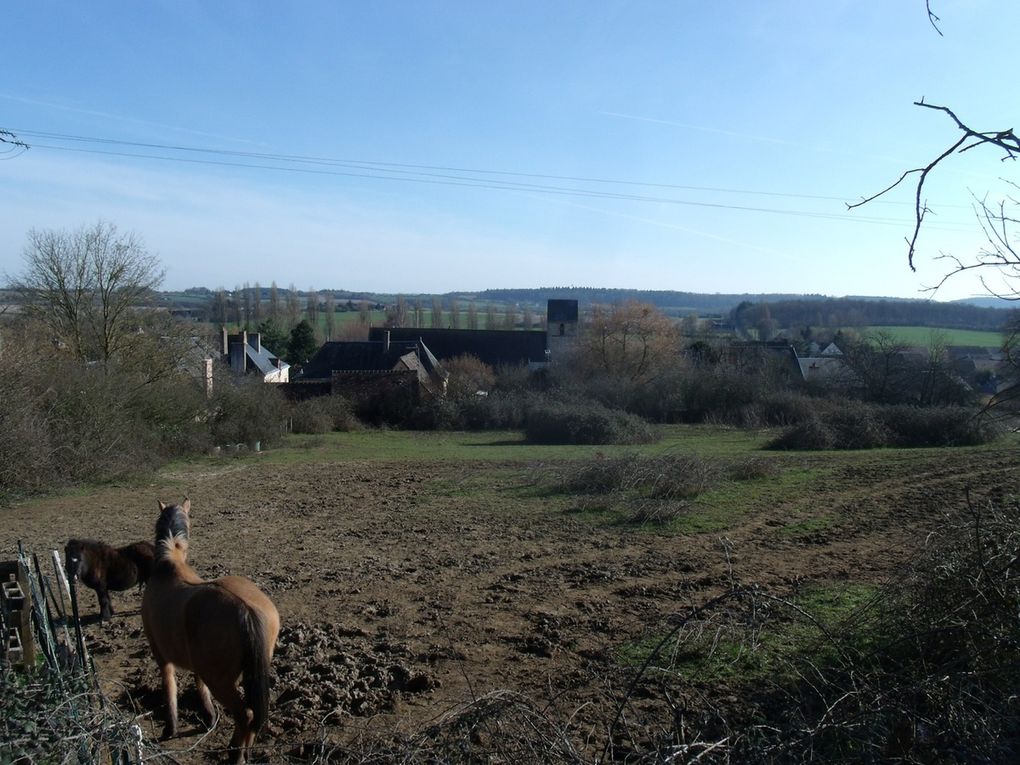 Randonnée à Souligné Flacé