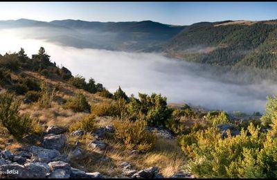 Causse Méjean, suite