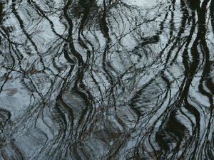 Reflets du bassin du parc de Carrières-sur-Seine