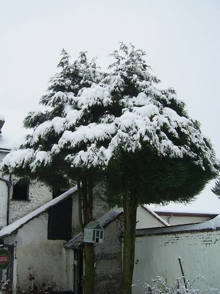 Découvrez notre maison sous 20 cm de neige !