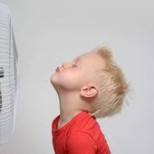 Canicule : comment optimiser l'effet de son ventilateur ?