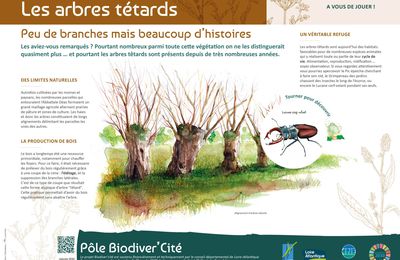 Panneaux Bio diversités Saint Philbert de Grandlieu