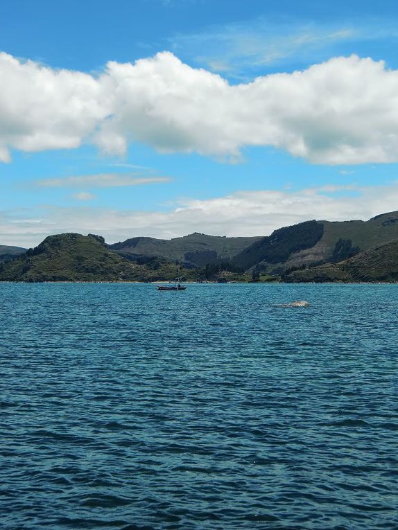 Lac Titicaca
Coroico
Tocaña