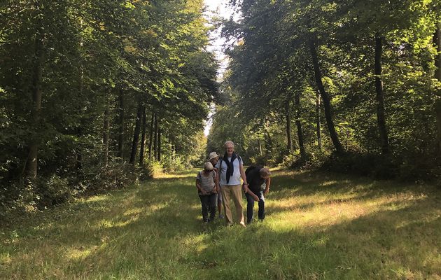 Promenade à Regnière-Ecluse, le parc et le château.