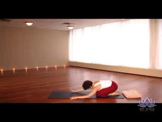 Le Yoga en vidéo sur votre ordinateur
