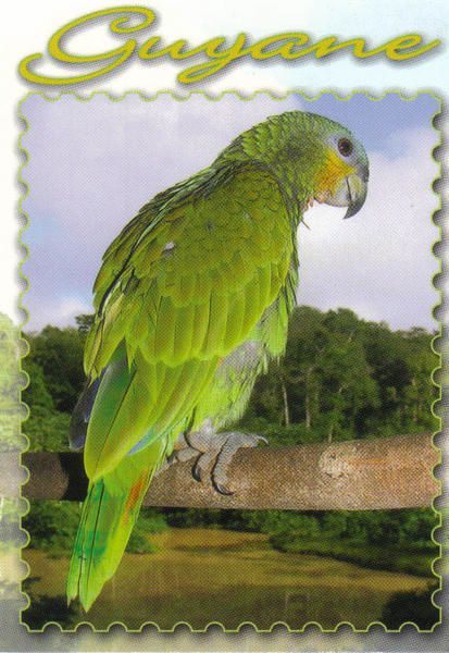 12 cartes postales éditées en Guyane par Cart'as 48