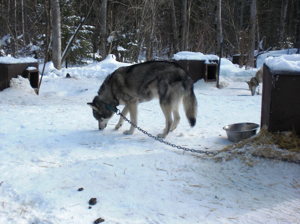 du 2 février au 5 février 2012