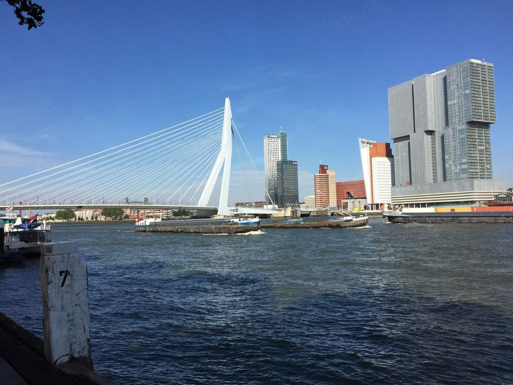 J9 Delft et Rotterdam