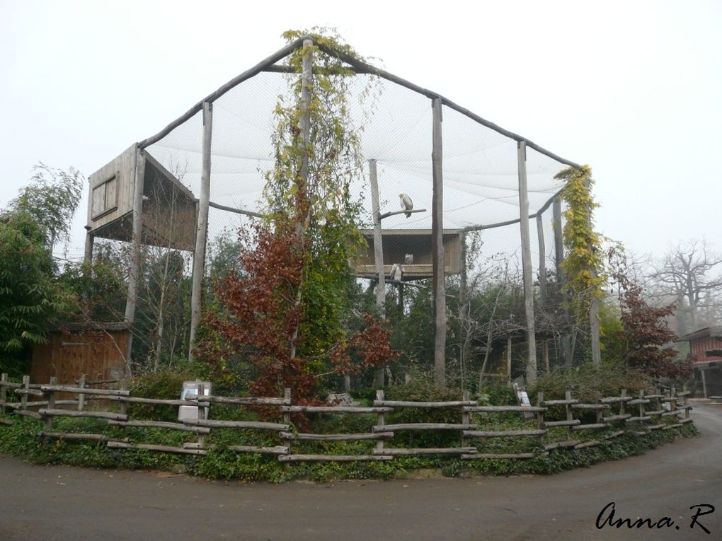 Visite du 24 novembre 2011