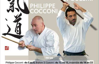 Pratiquer l'aikido au mois de Juillet 2016!