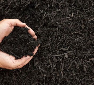 Un apport de composte au jardin.